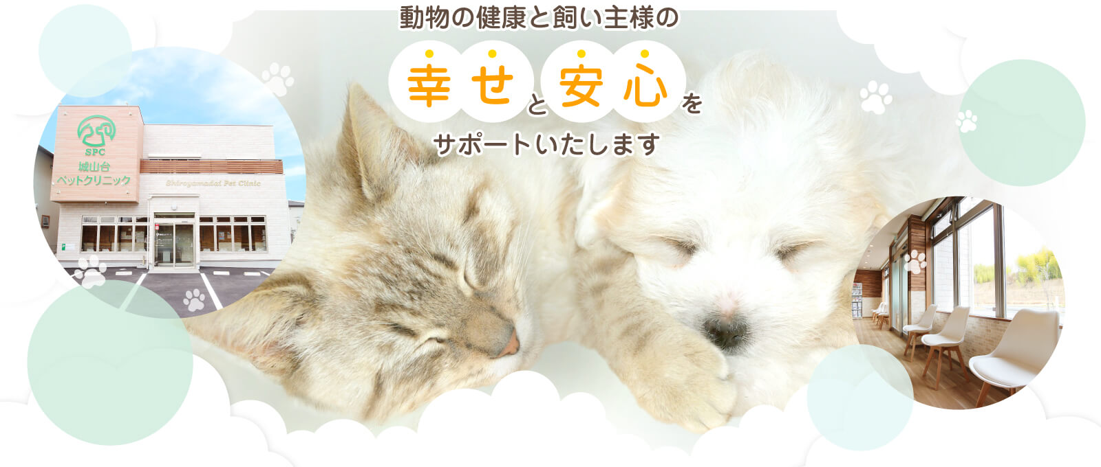 木津川の動物病院なら『城山台ペットクリニック』。動物の健康と飼い主様の幸せと安心をサポートいたします